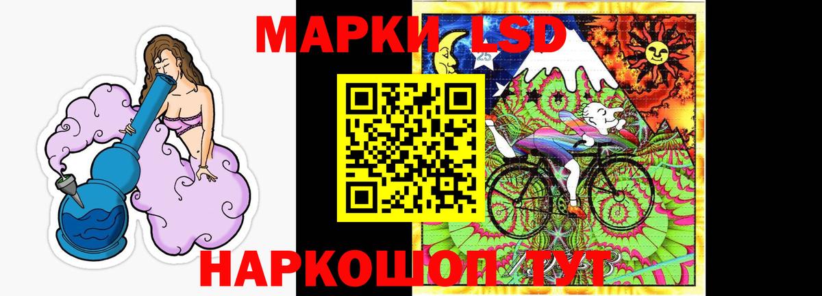 blacksprut как войти  Лсд 25 экстази кислота  Заводоуковск  Вход с VPN  LSD-25 экстази кислота 