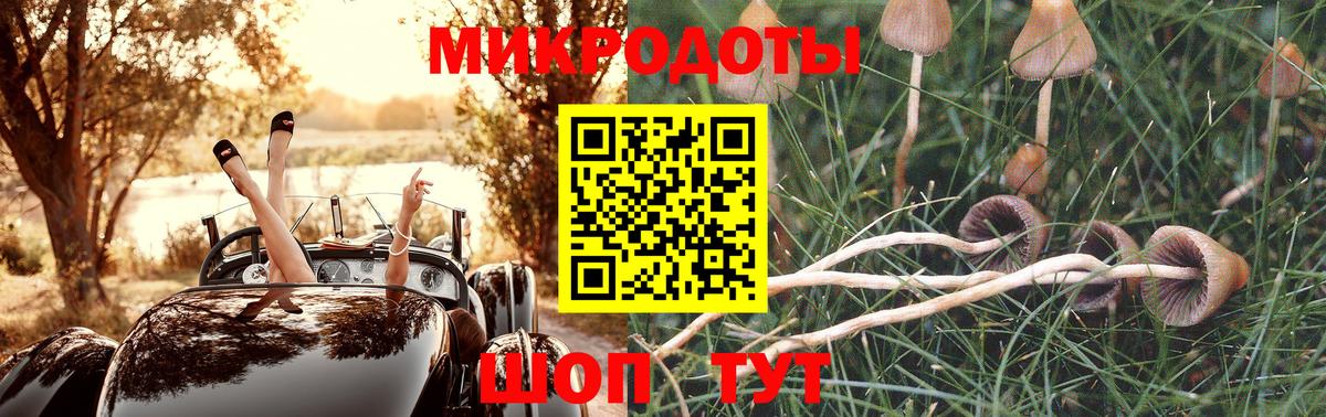Заводоуковск  магазин продажи   Вход с VPN  Псилоцибиновые грибы мицелий 
